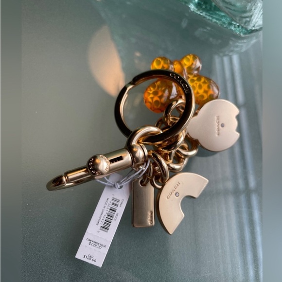 Coach Micro Studio 12 & Mini Skinny ID Case in Sun Orange, Coach Charm Set NWT - Picture 15 of 17